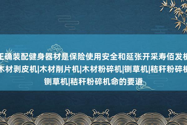 正确装配健身器材是保险使用安全和延张开采寿佰发机械 - 大型木材剥皮机|木材削片机|木材粉碎机|铡草机|秸秆粉碎机命的要道